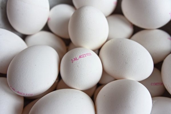 oeufs