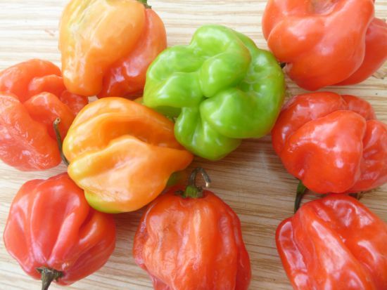 piments africains