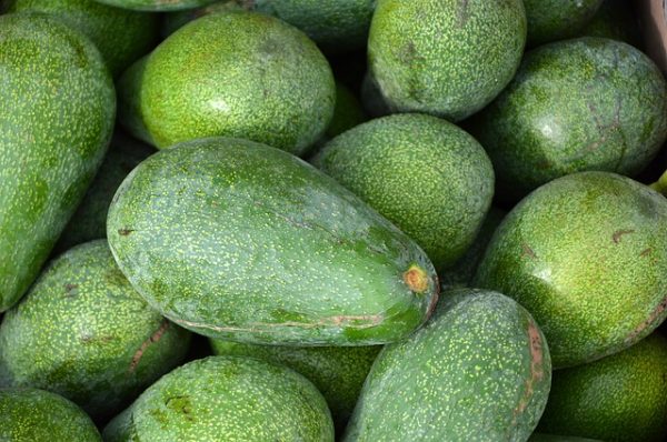 avocats
